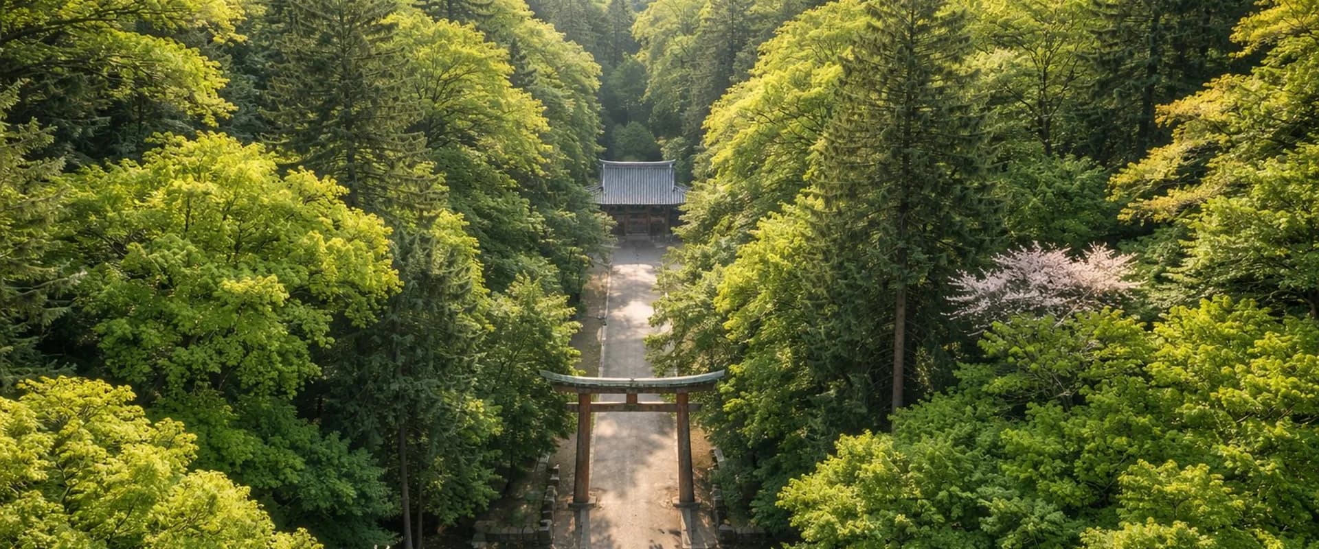 鎮守の森と参道の俯瞰