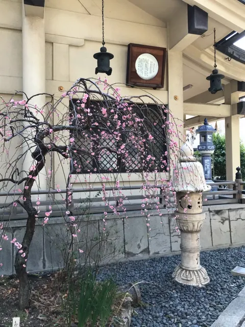坐摩神社（撮影: くりたま）