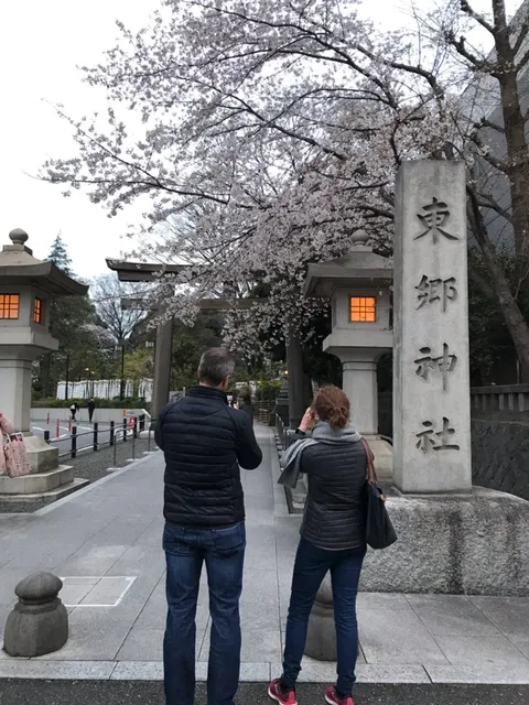 東郷神社（撮影: くりたま）