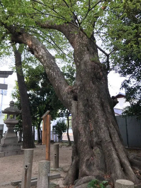 弓弦羽神社（撮影: くりたま）