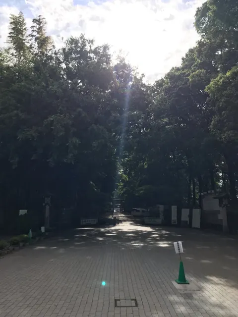 大宮八幡宮（撮影: くりたま）
