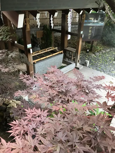 東京大神宮（撮影: くりたま）