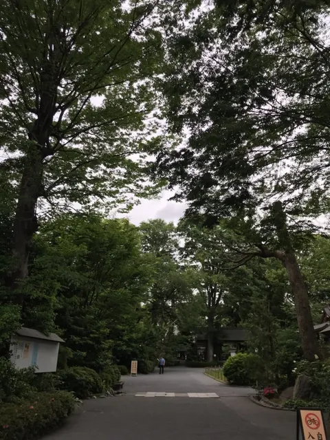 阿佐ヶ谷神明宮（撮影: くりたま）