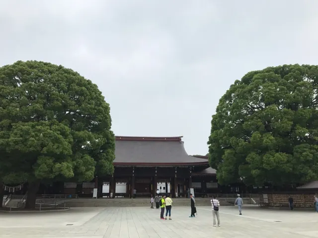 明治神宮（撮影: くりたま）