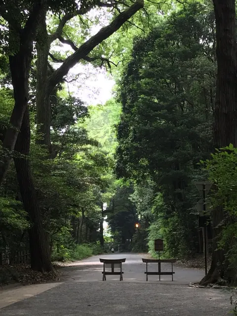 明治神宮（撮影: くりたま）