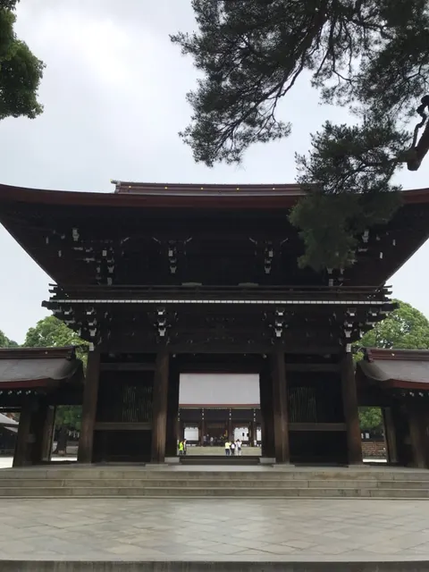 明治神宮（撮影: くりたま）