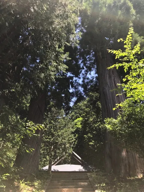 戸隠神社火之御子社（撮影: くりたま）