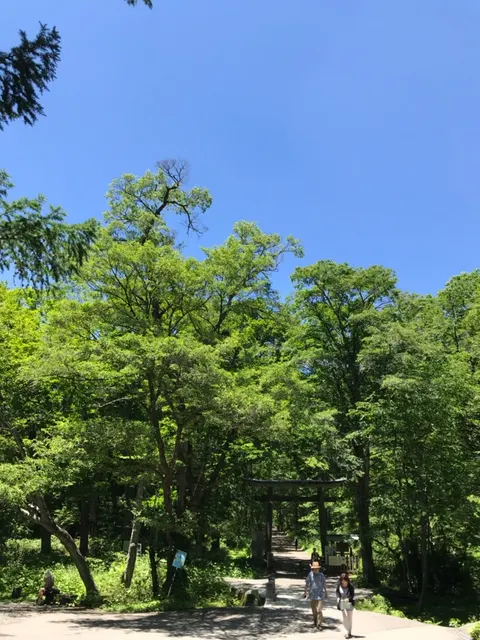 戸隠神社 中社（撮影: くりたま）
