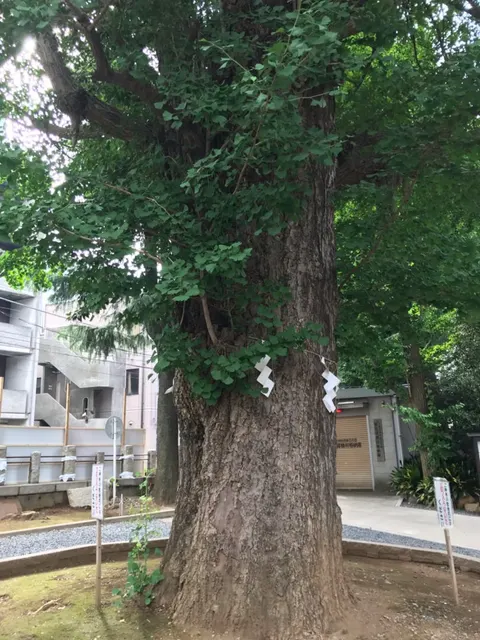 鳩森八幡神社（撮影: くりたま）