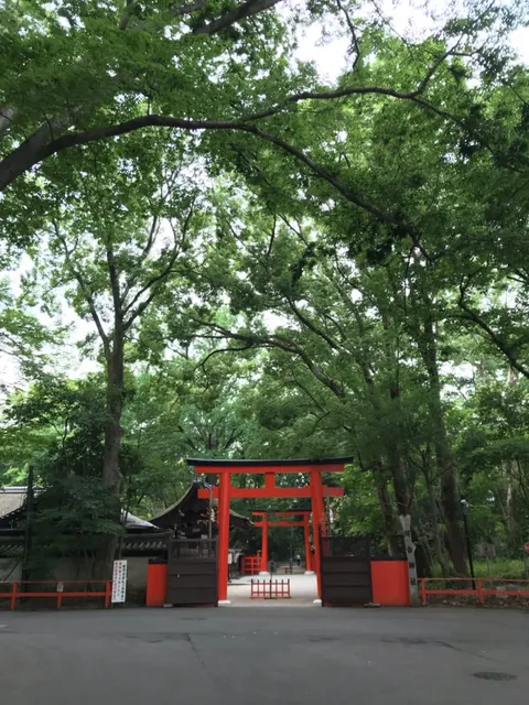 下鴨神社（撮影: くりたま）