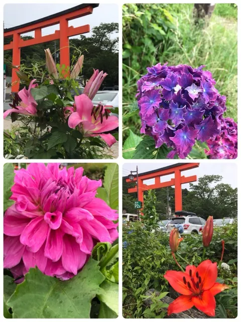 箱根神社（撮影: くりたま）