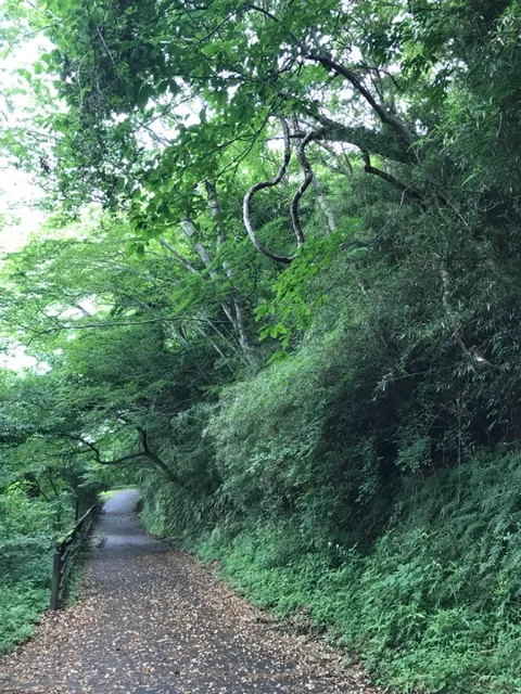 九頭龍神社 本宮（撮影: くりたま）