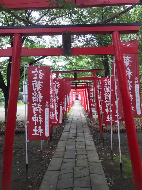 於菊稲荷神社（撮影: くりたま）