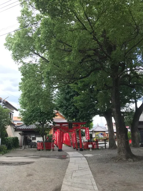 於菊稲荷神社（撮影: くりたま）