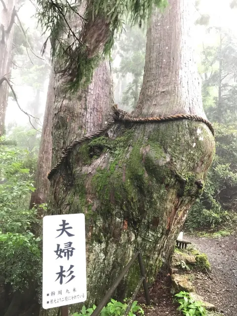 玉置神社（撮影: くりたま）