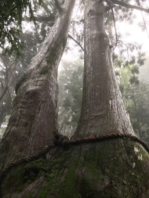 玉置神社（撮影: くりたま）