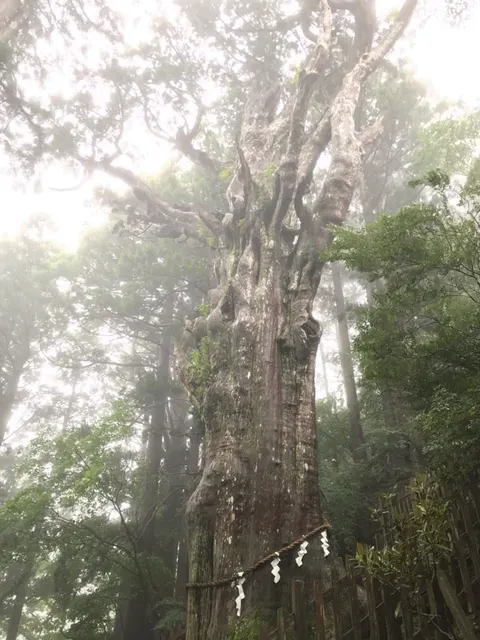 玉置神社（撮影: くりたま）