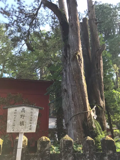 日光二荒山神社（撮影: くりたま）