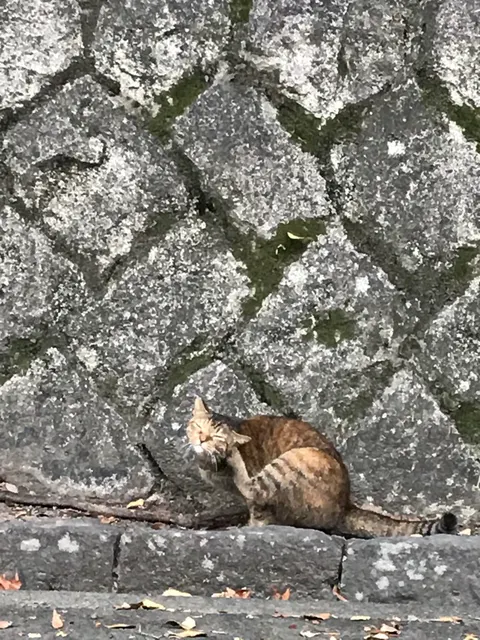 熱田神宮（撮影: くりたま）