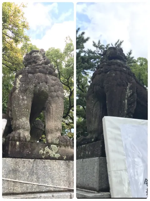 筥崎宮（撮影: くりたま）