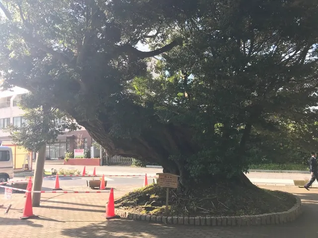 鹿島神宮（撮影: くりたま）
