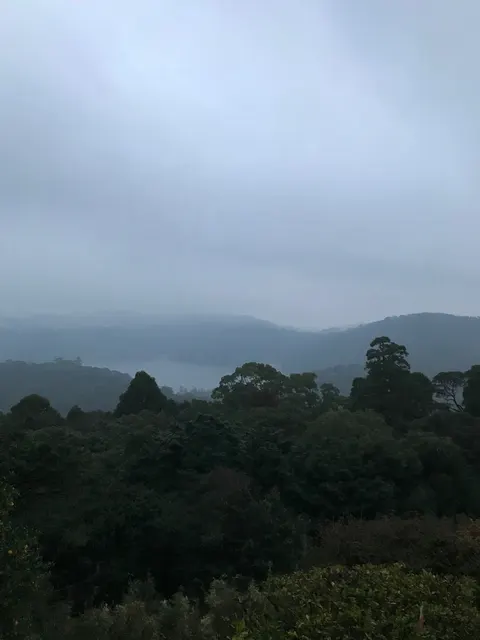 霧島東神社（撮影: くりたま）