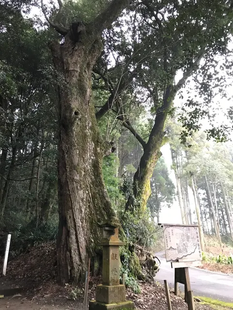 霧島岑神社（撮影: くりたま）