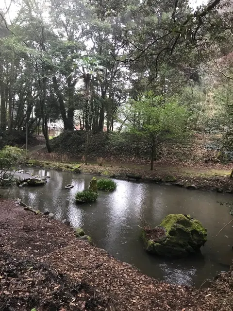 東霧島神社（撮影: くりたま）