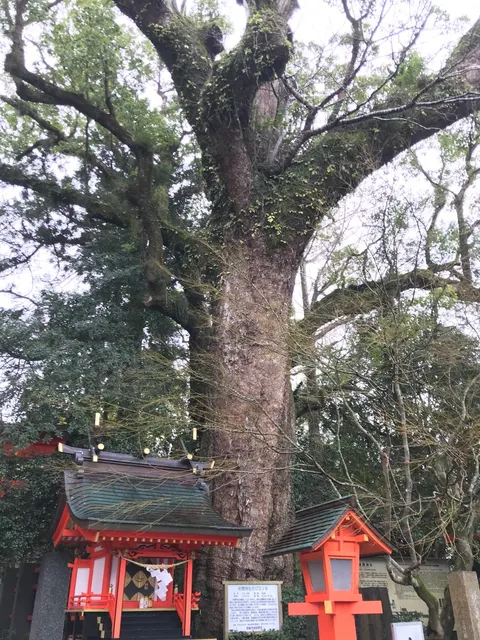 枚聞神社（撮影: くりたま）