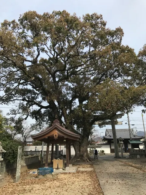大御和神社（撮影: くりたま）