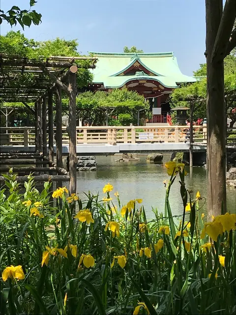 亀戸天神社（撮影: くりたま）