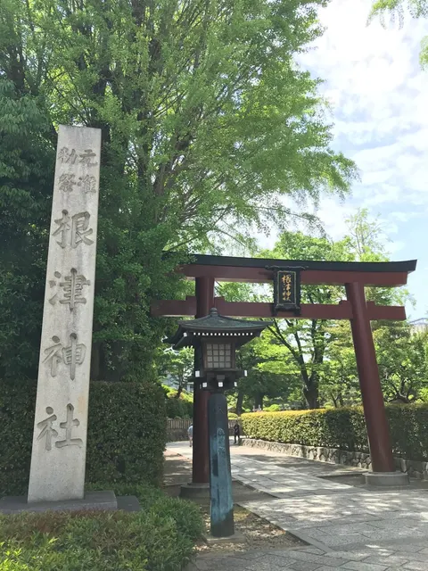 根津神社（撮影: くりたま）