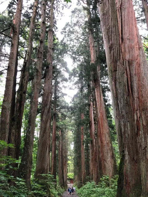 戸隠神社奥社（撮影: くりたま）