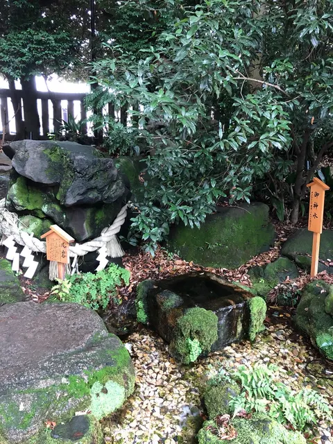 氷川神社（撮影: くりたま）