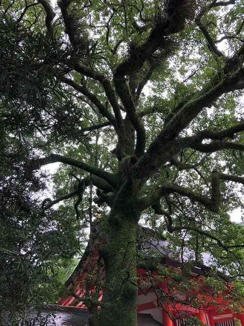 神倉神社（撮影: くりたま）