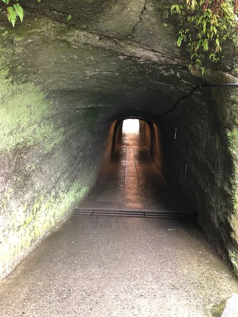 銭洗弁天 宇賀福神社（撮影: くりたま）