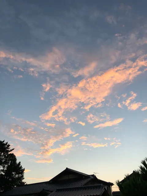 籠神社（撮影: くりたま）