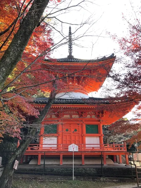 日前神宮・國懸神宮（撮影: くりたま）