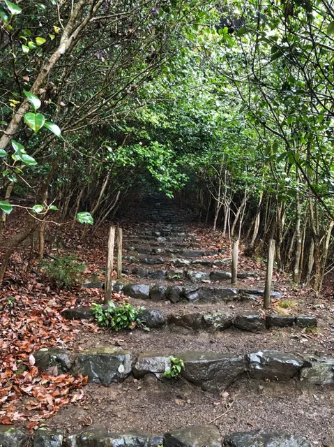 椿岸神社（撮影: くりたま）