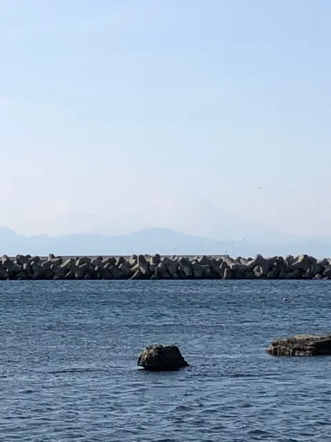 海南神社（撮影: くりたま）