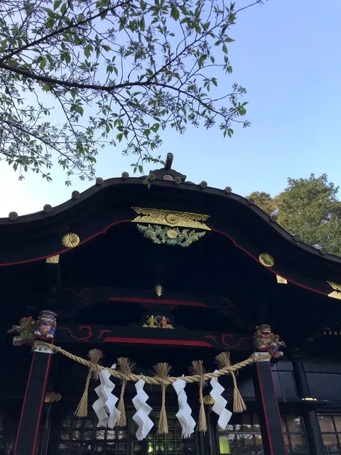 玉前神社（撮影: くりたま）