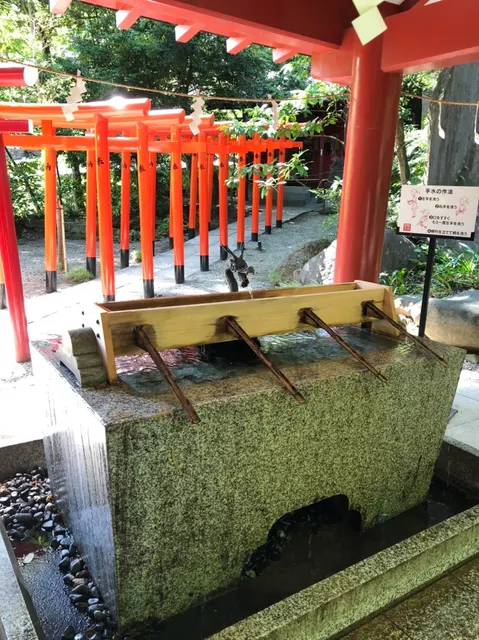 來宮神社（撮影: くりたま）