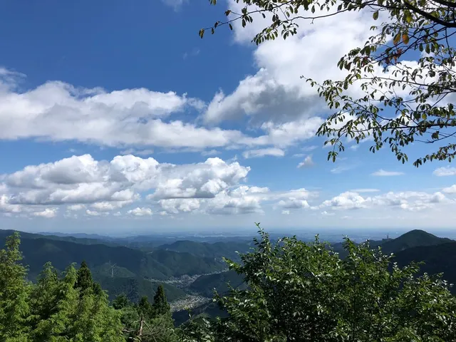 武蔵御嶽神社（撮影: くりたま）