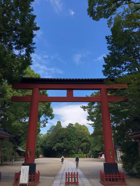 武蔵一宮氷川神社（撮影: くりたま）