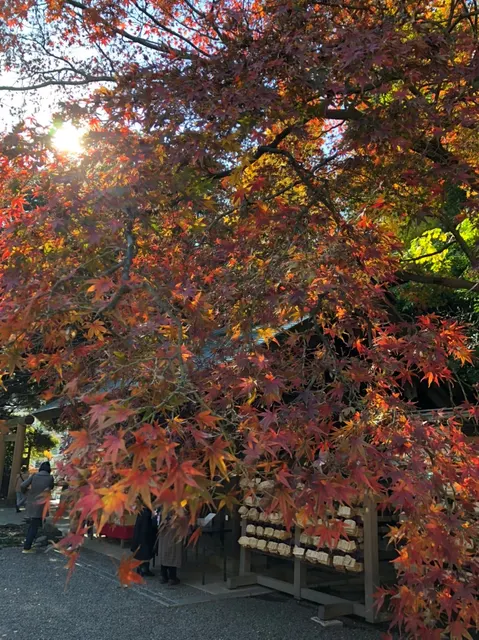 乃木神社（撮影: くりたま）