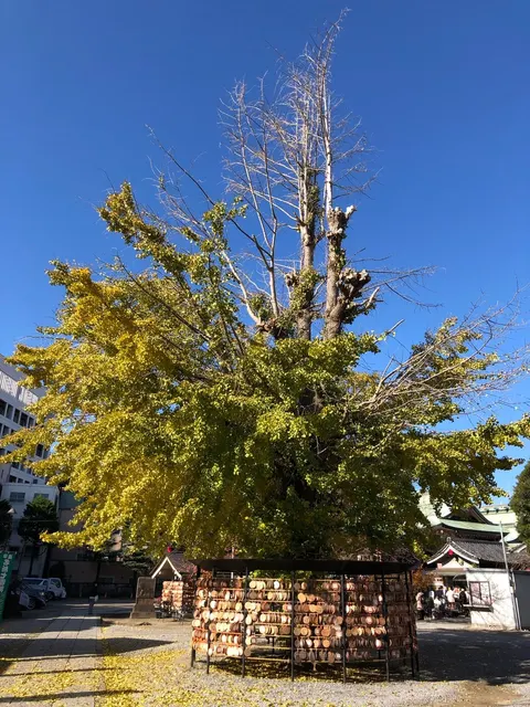 今戸神社（撮影: くりたま）
