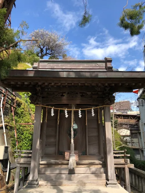 来宮神社（撮影: くりたま）