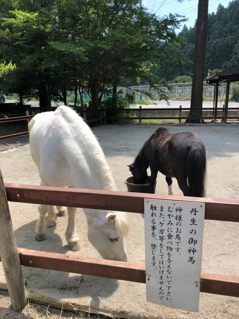 丹生川上神社下社（撮影: くりたま）