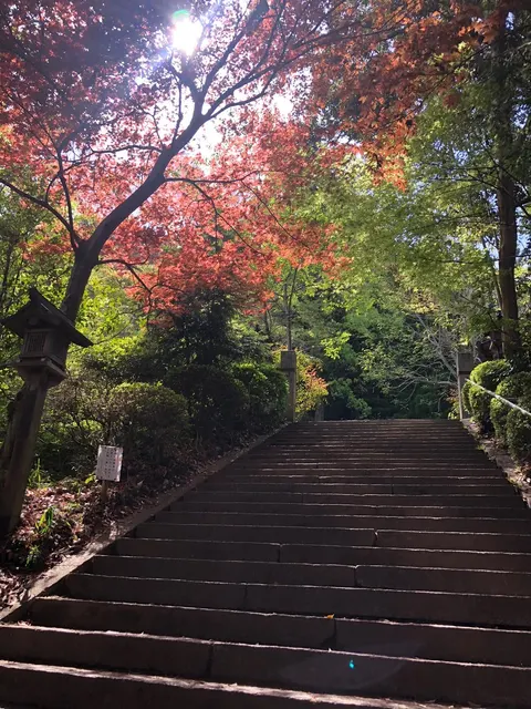 葛城坐一言主神社（撮影: くりたま）