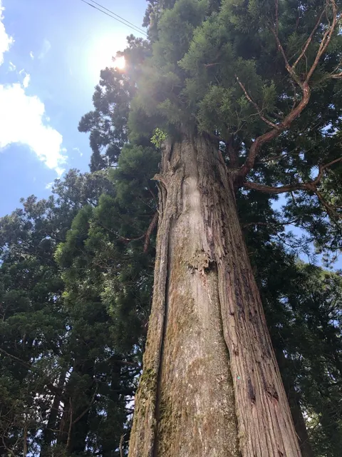 戸隠神社中社（撮影: くりたま）